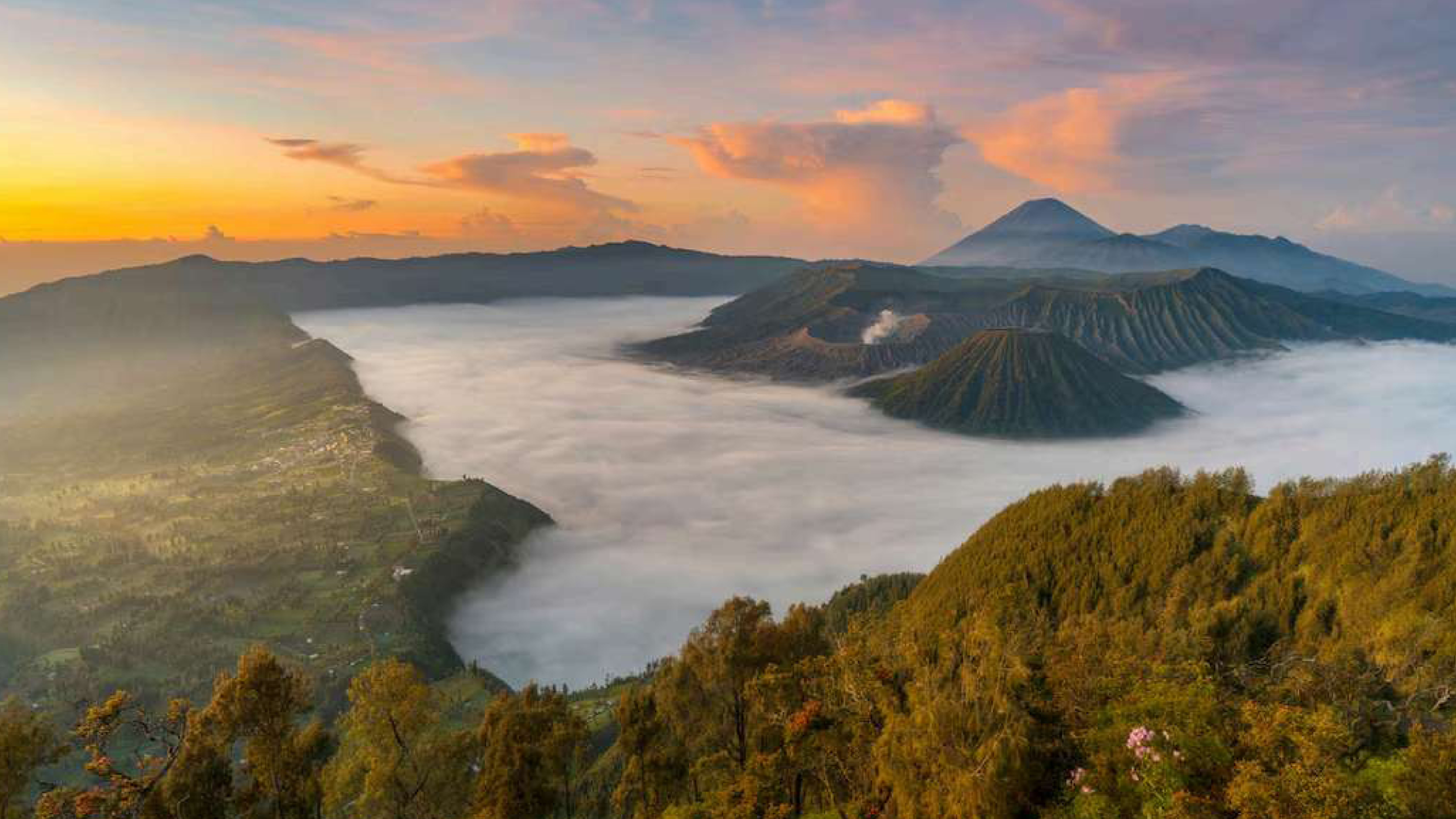 Satu Nusa Capital